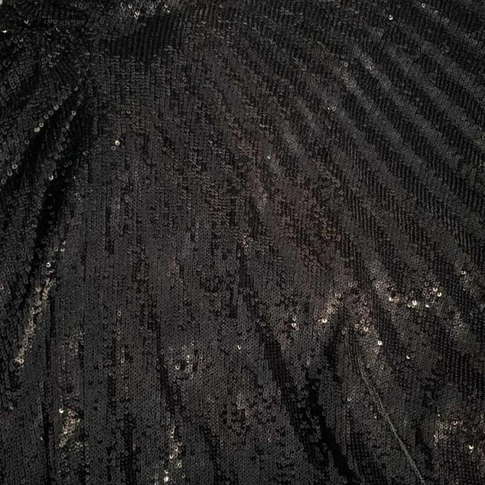 A.L.C. Tori asymmetric pleated sequined tulle midi skirt sz 2 NWT - Picture 10 of 13